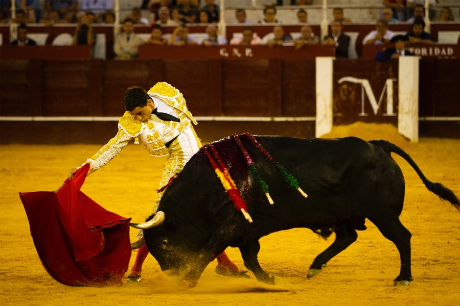 Málaga, 12 de agosto de 2018