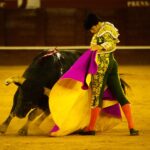 Málaga, 12 de agosto de 2018