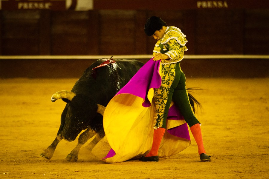 Málaga, 12 de agosto de 2018