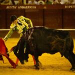 Málaga, 12 de agosto de 2018