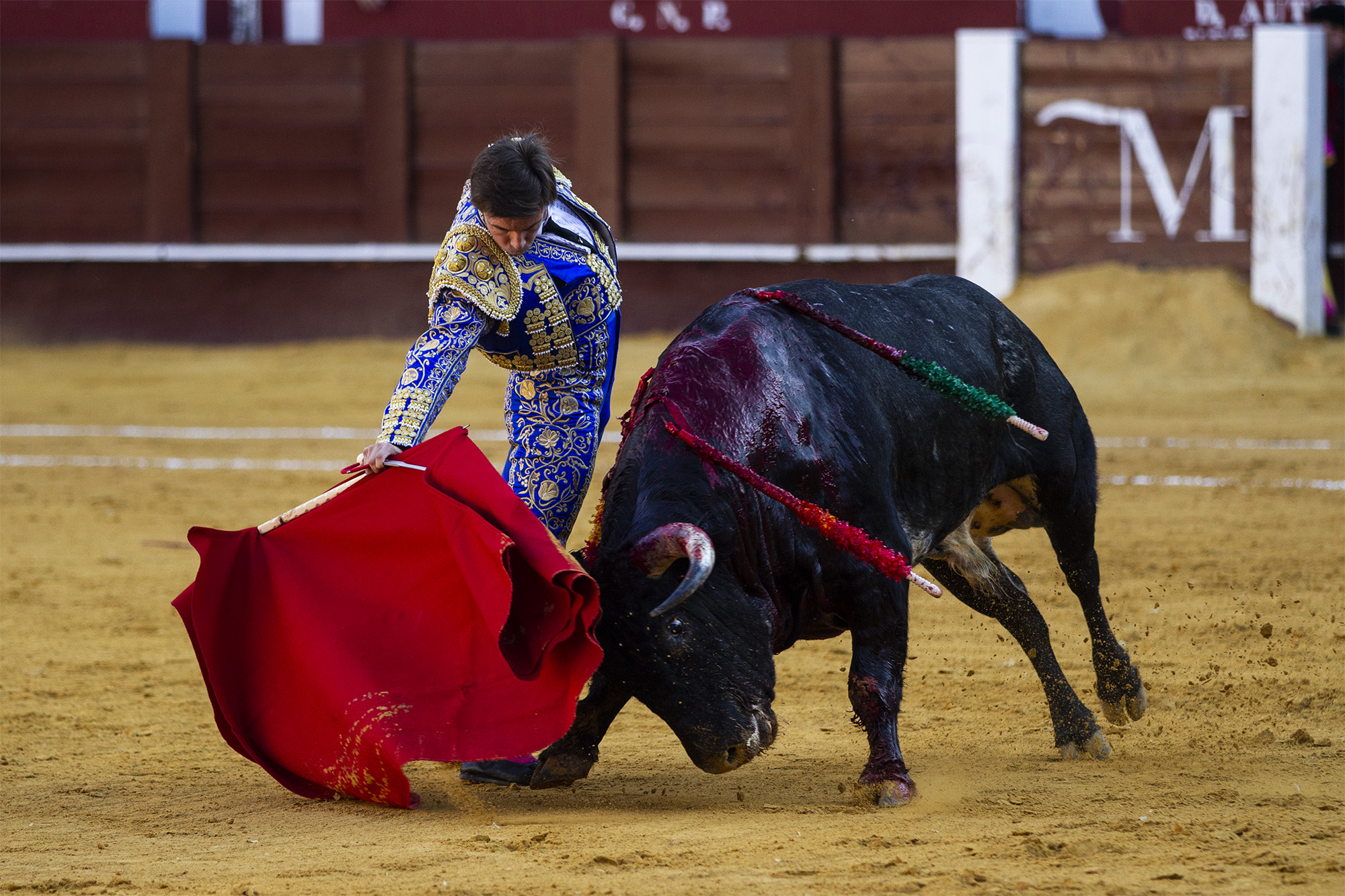 El novillero Curro Márquez, con nuevos apoderados