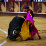 Málaga. Martes, 14 de agosto.