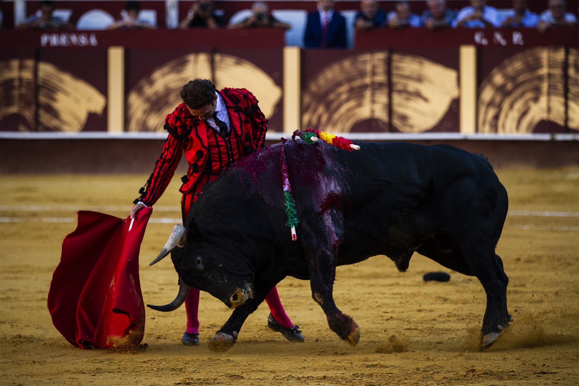 Málaga. Martes, 14 de agosto.