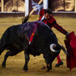 Málaga. Martes, 14 de agosto.