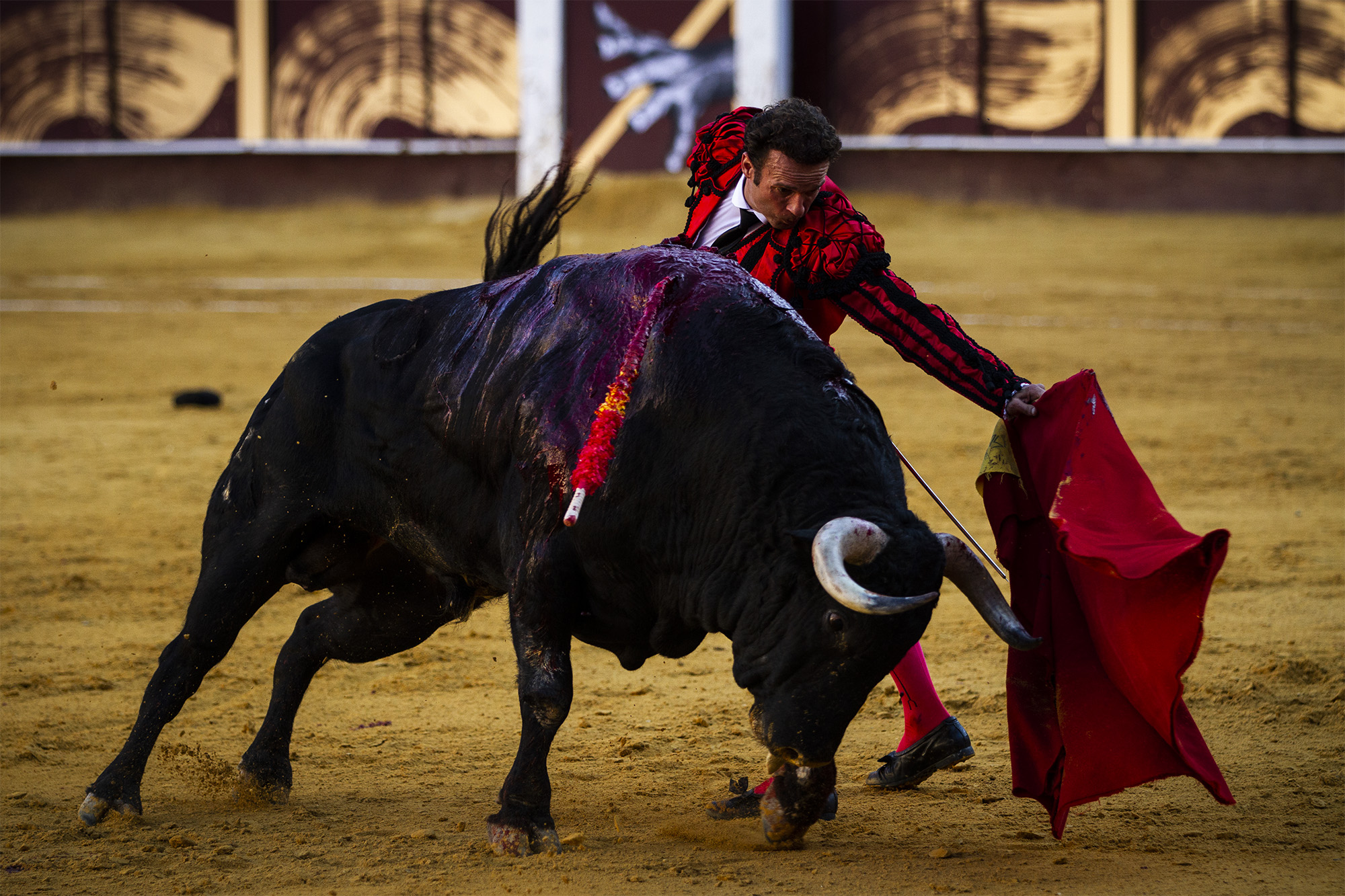 Málaga. Martes, 14 de agosto.