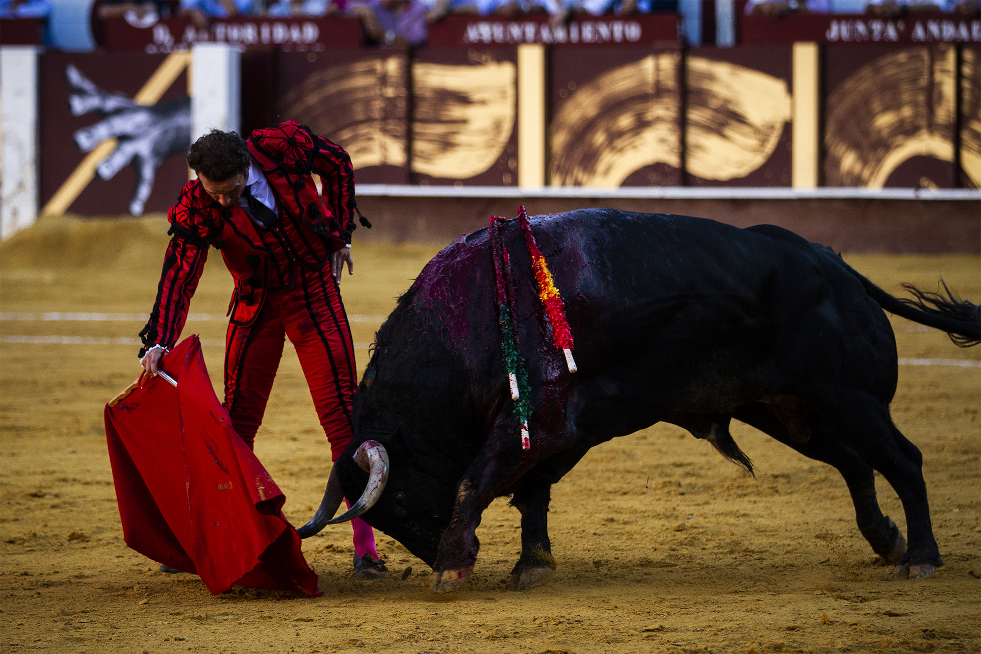Málaga. Martes, 14 de agosto.