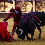 Málaga. Martes, 14 de agosto.