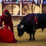 Málaga. Martes, 14 de agosto.
