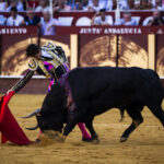 Málaga. Martes, 14 de agosto.