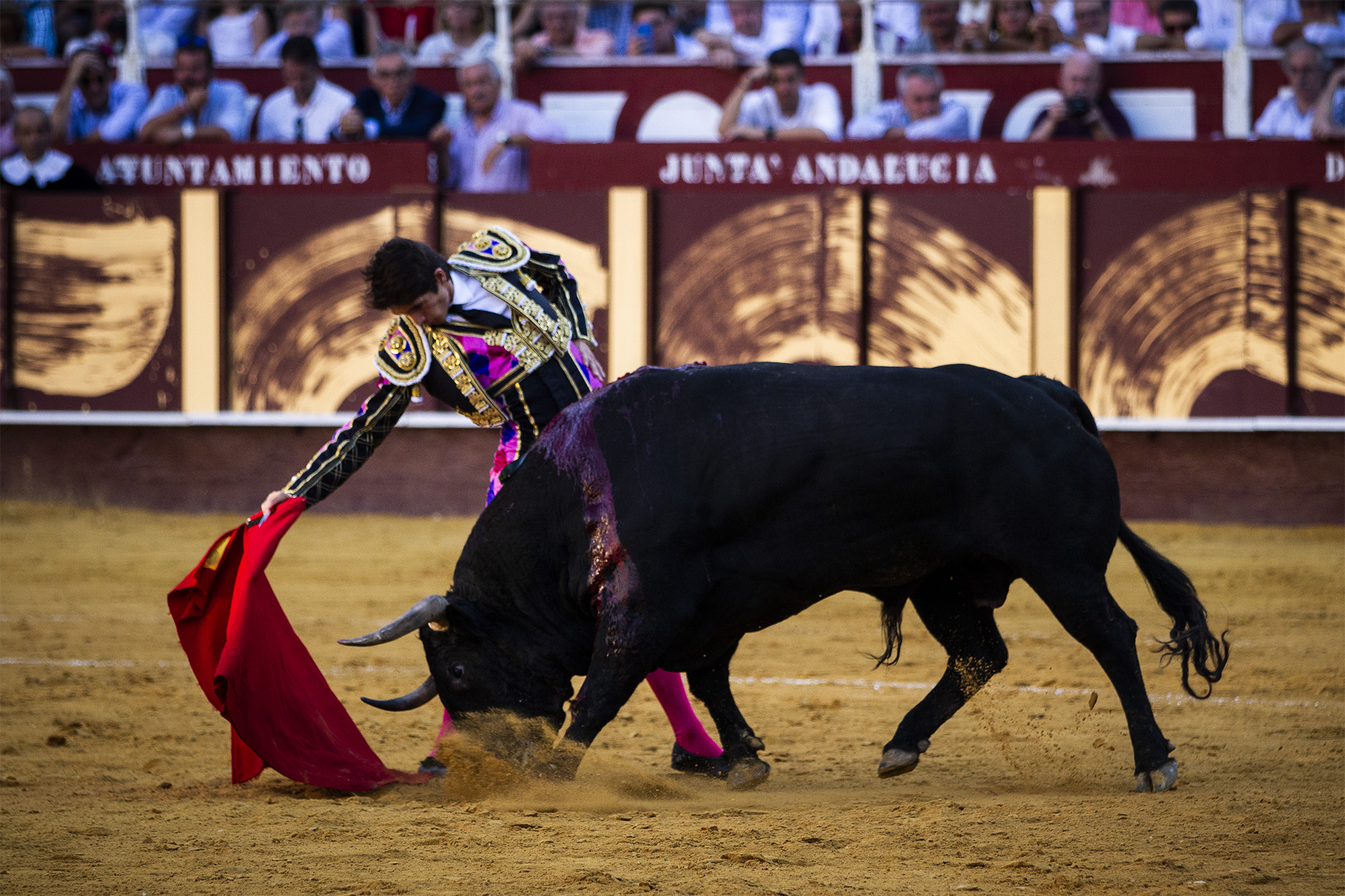 Málaga. Martes, 14 de agosto.