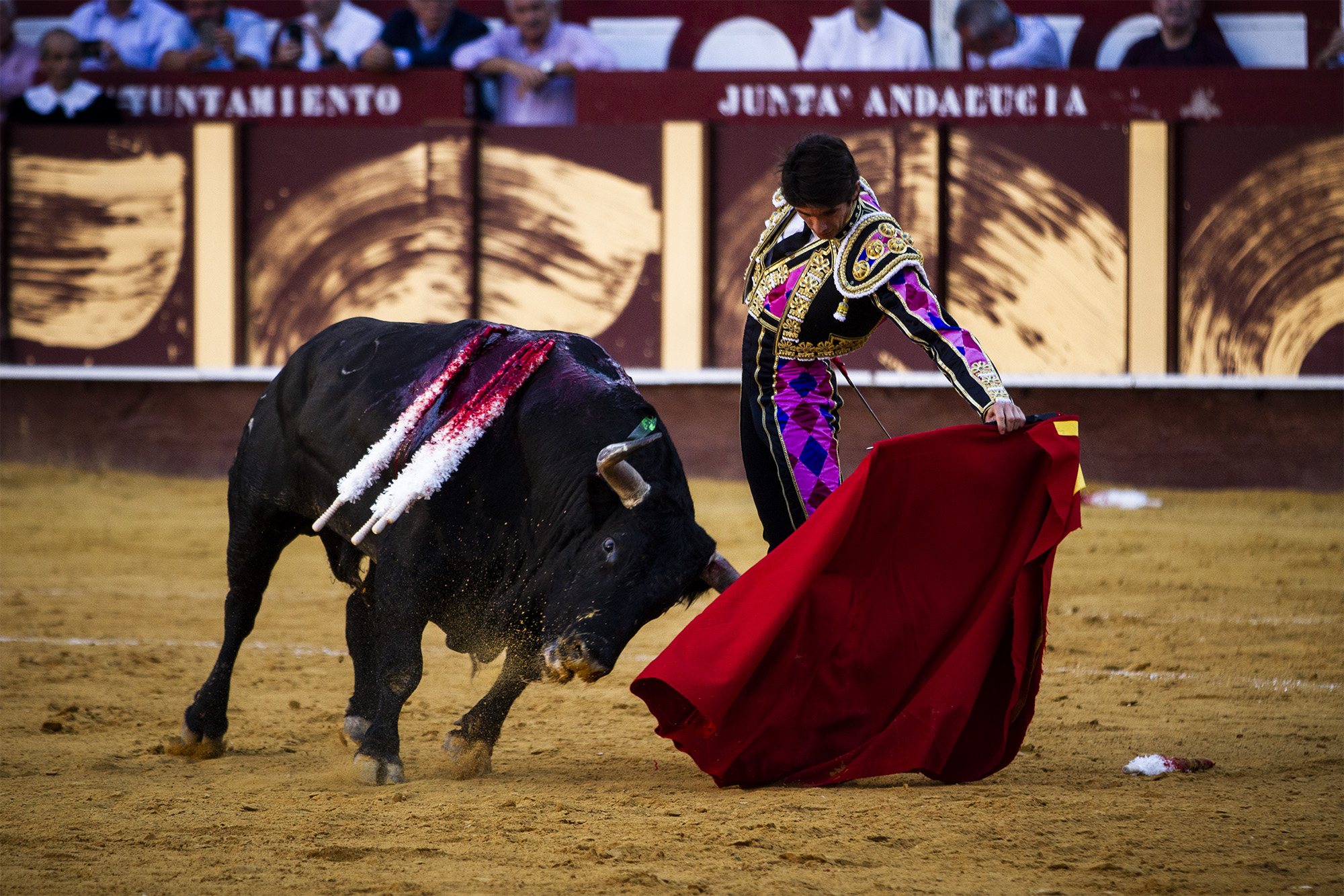 Málaga. Martes, 14 de agosto.