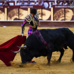 Málaga. Martes, 14 de agosto.