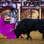 Málaga. Martes, 14 de agosto.