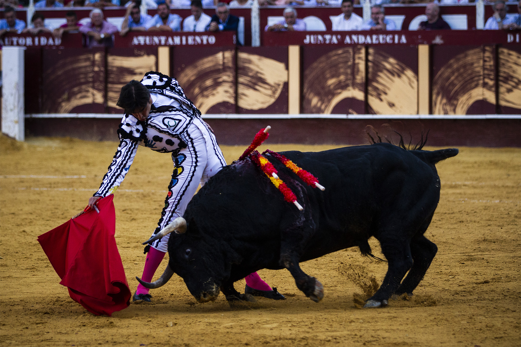 Málaga. Martes, 14 de agosto.