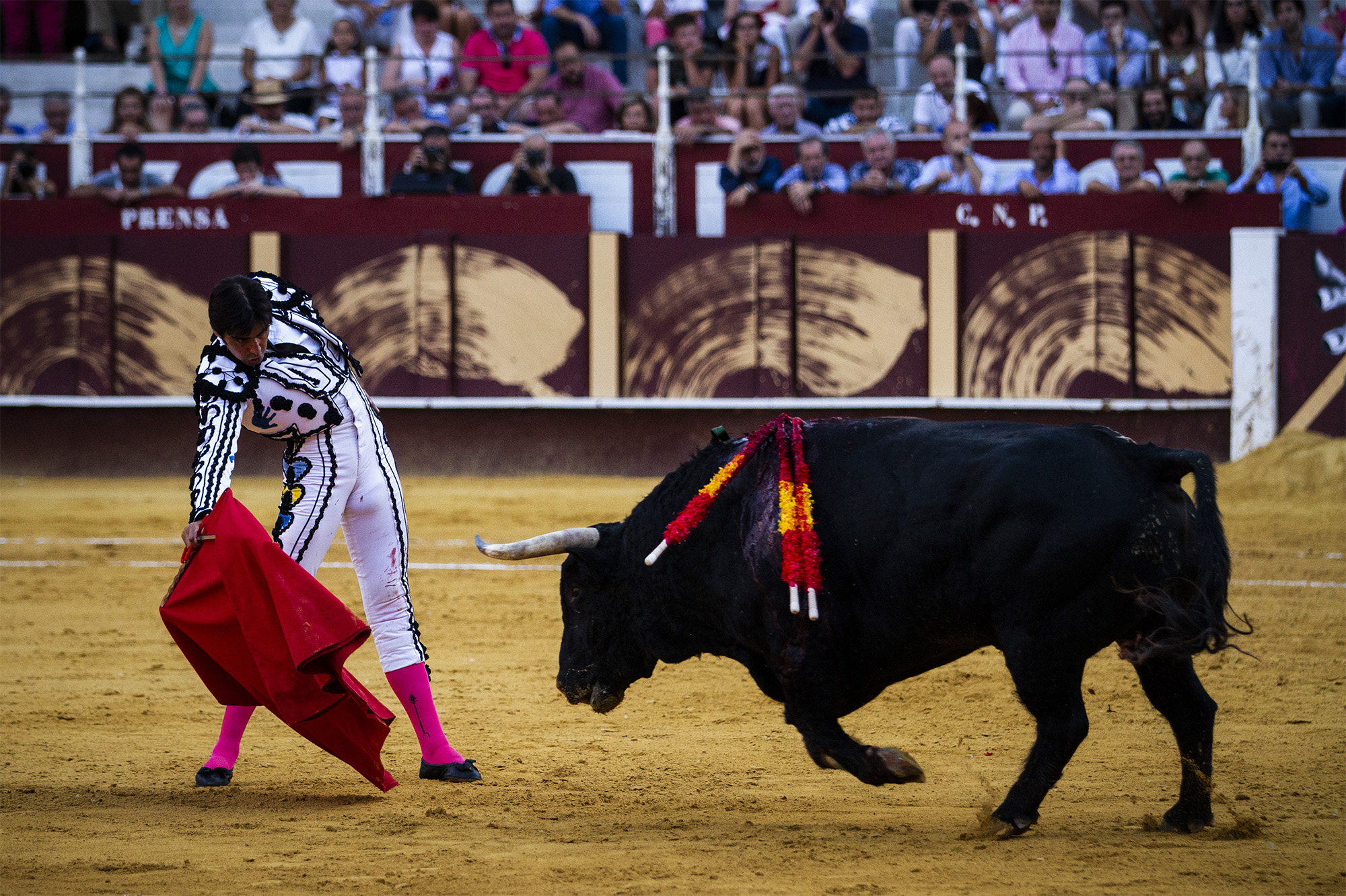 Málaga. Martes, 14 de agosto.