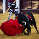 Málaga. Martes, 14 de agosto.