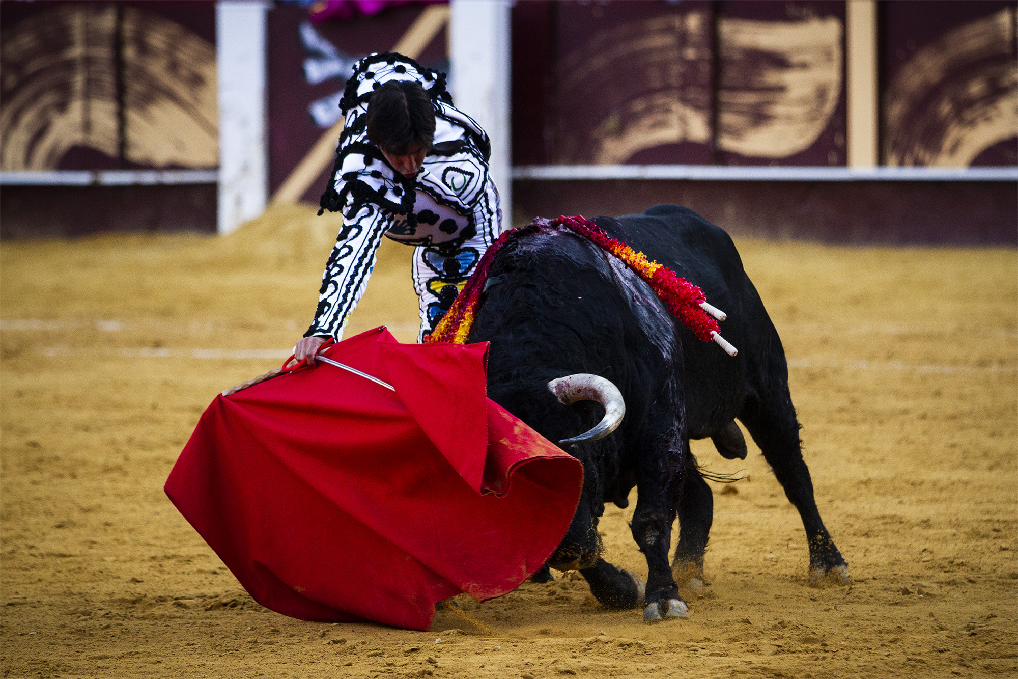 Málaga. Martes, 14 de agosto.