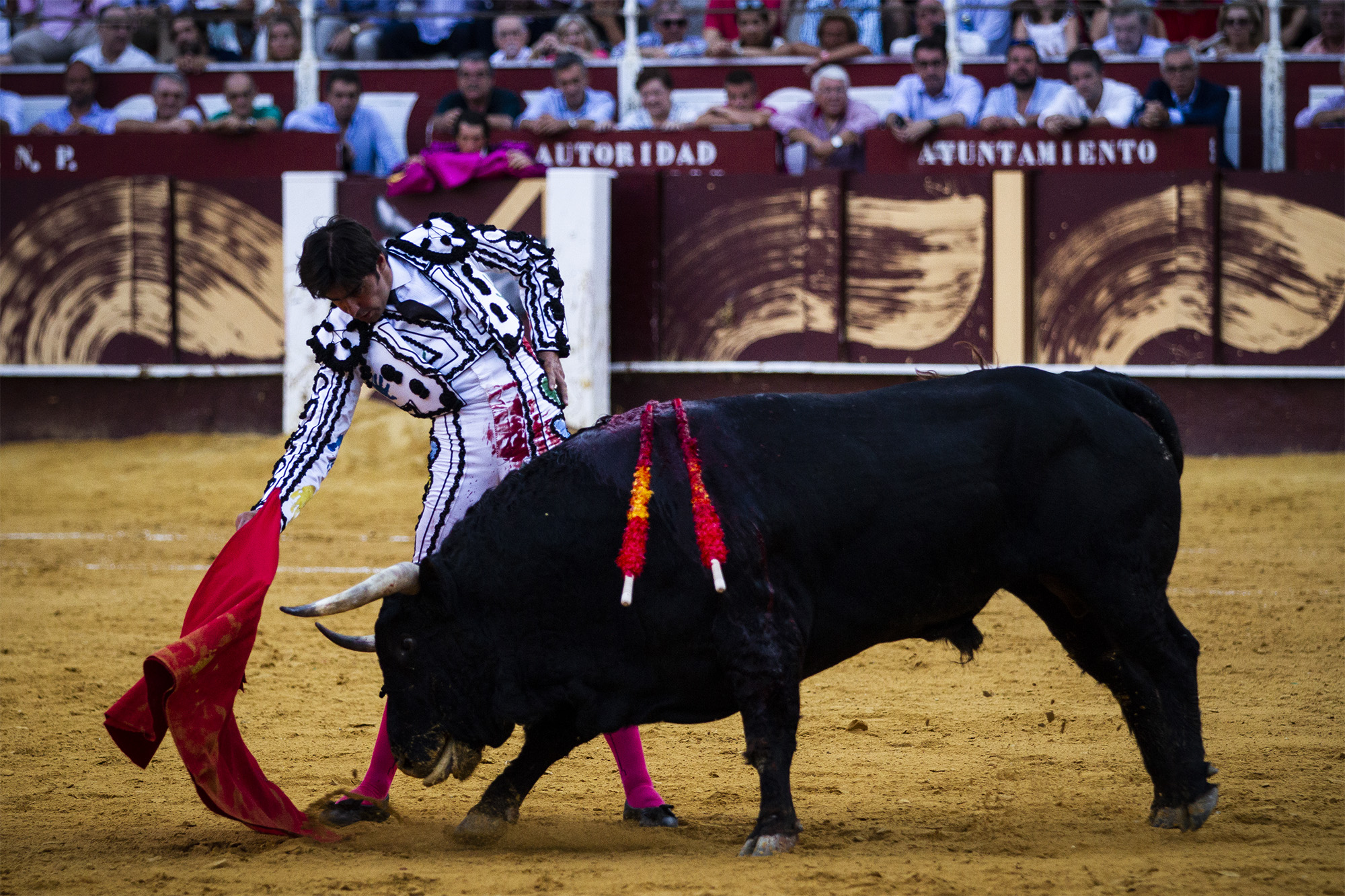 Málaga. Martes, 14 de agosto.