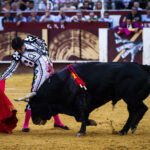 Málaga. Martes, 14 de agosto.