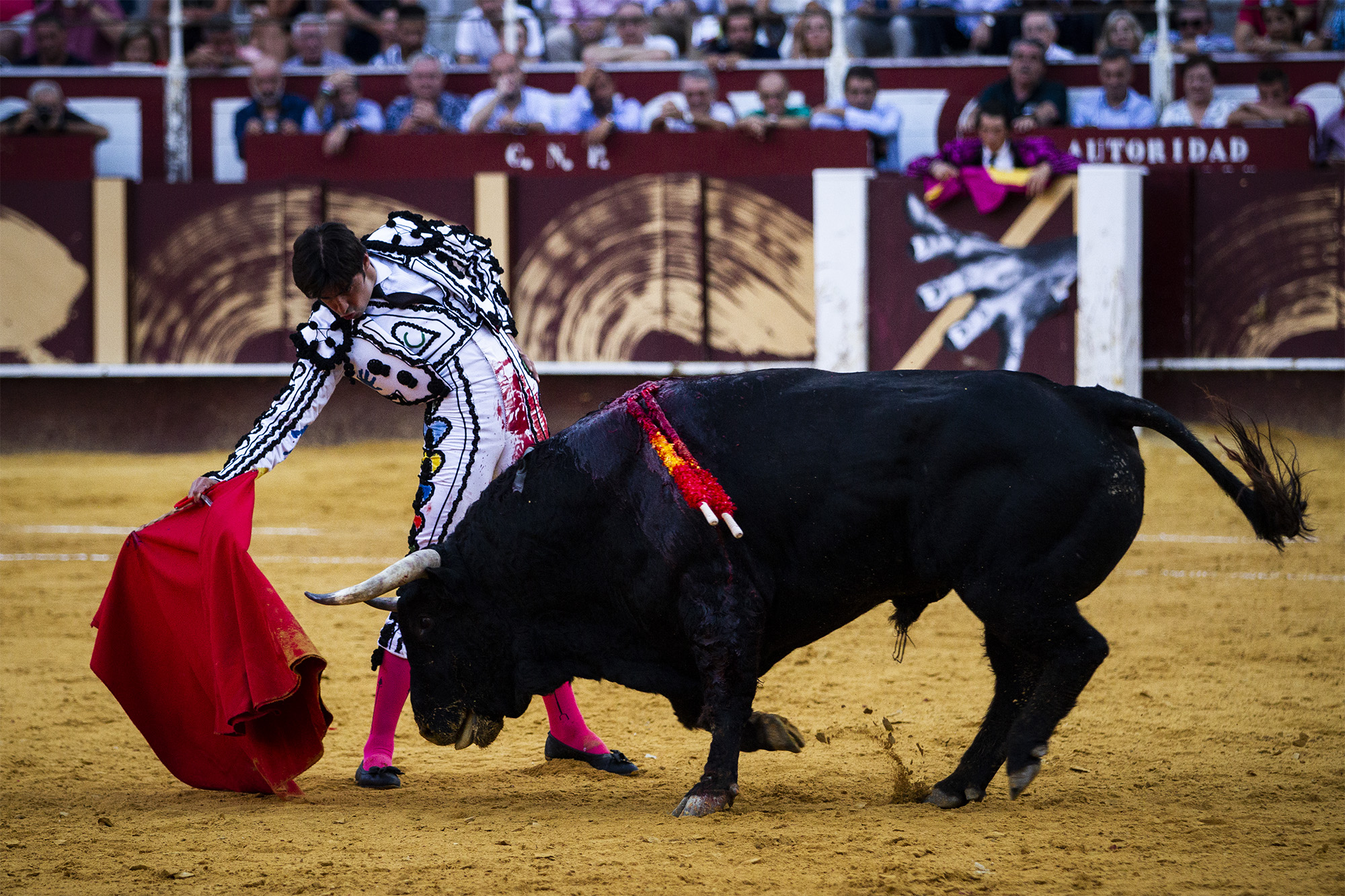 Málaga. Martes, 14 de agosto.