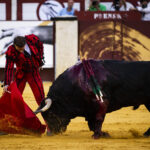 Málaga. Martes, 14 de agosto.