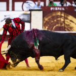 Málaga. Martes, 14 de agosto.