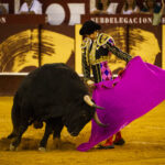 Málaga. Martes, 14 de agosto.