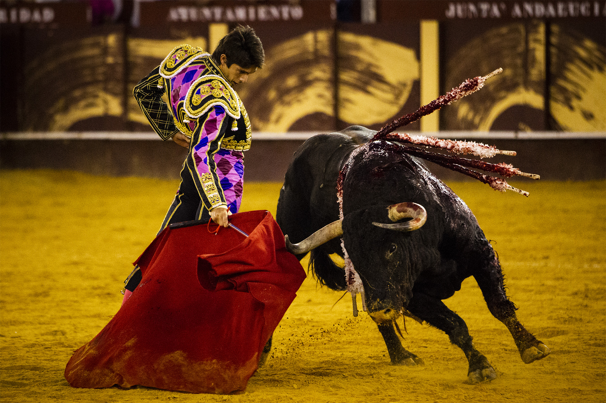 Málaga. Martes, 14 de agosto.