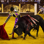 Málaga. Martes, 14 de agosto.