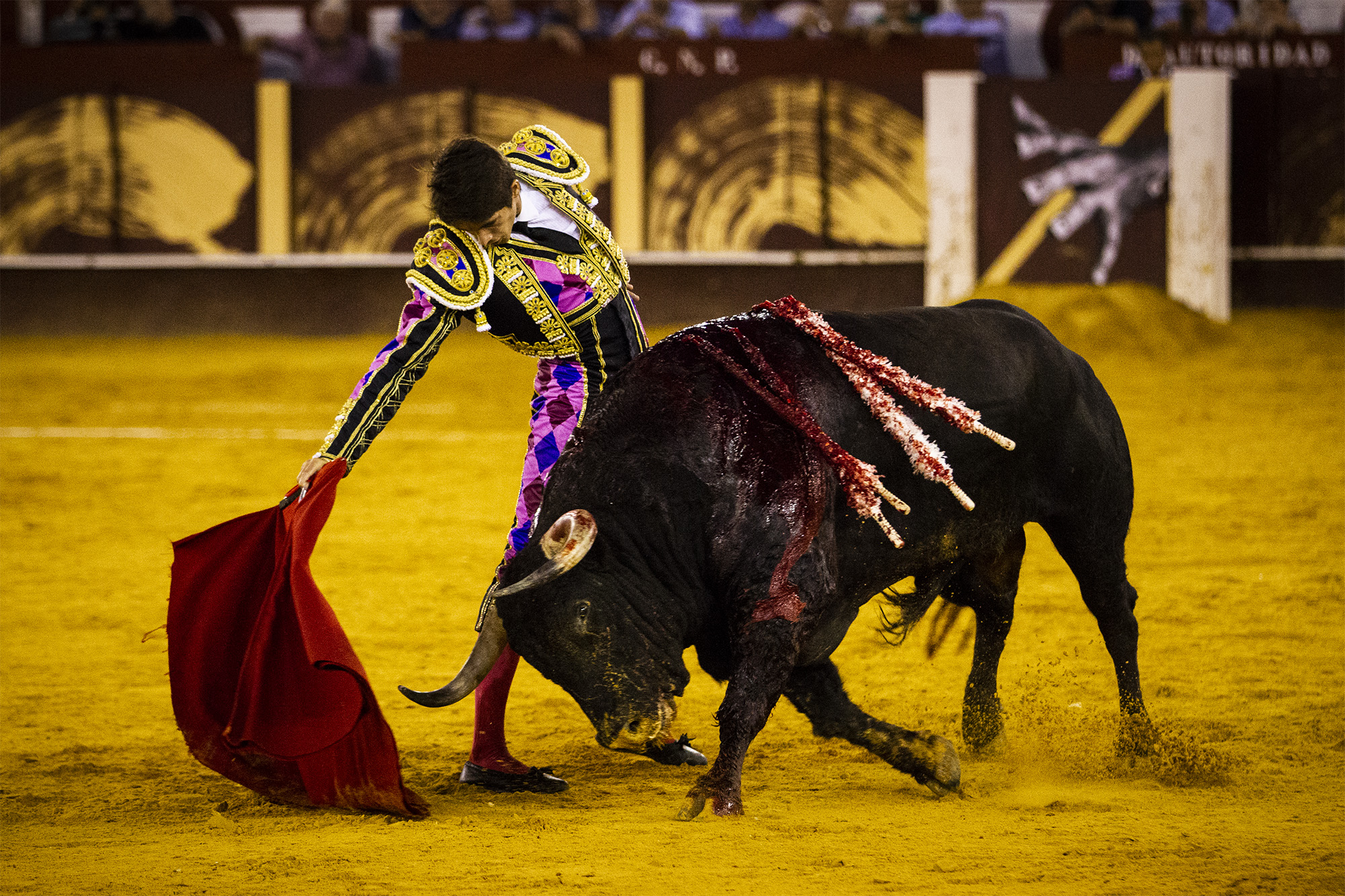 Málaga. Martes, 14 de agosto.
