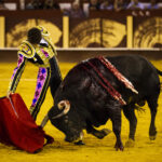 Málaga. Martes, 14 de agosto.