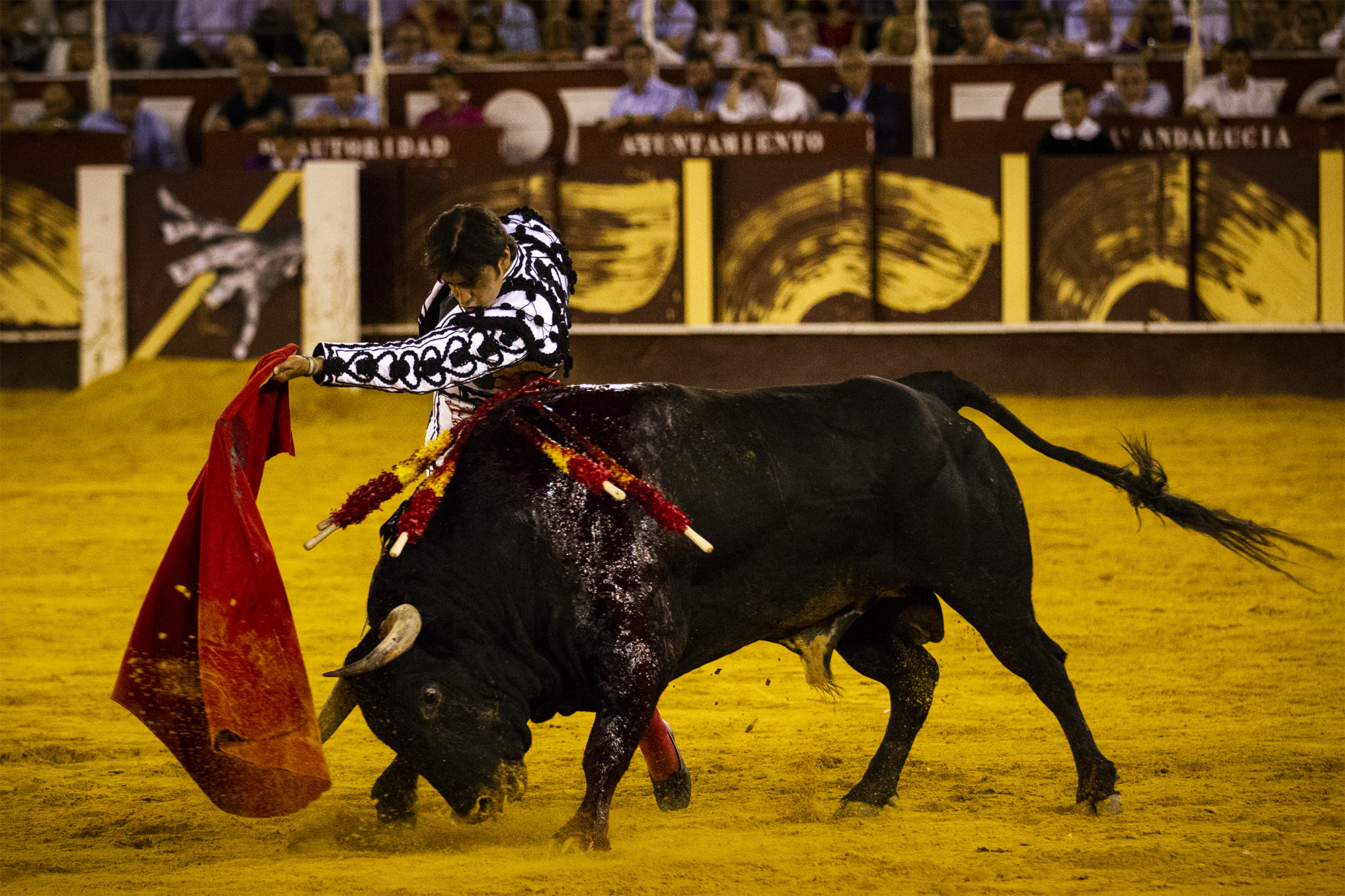 Málaga. Martes, 14 de agosto.