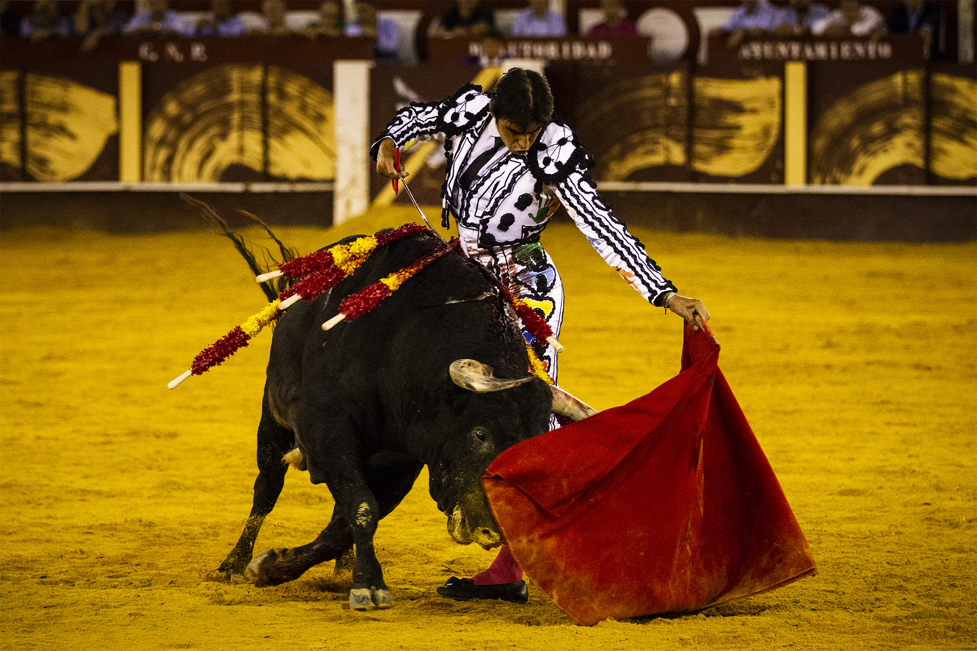 Málaga. Martes, 14 de agosto.