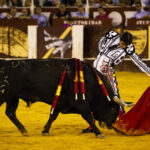 Málaga. Martes, 14 de agosto.