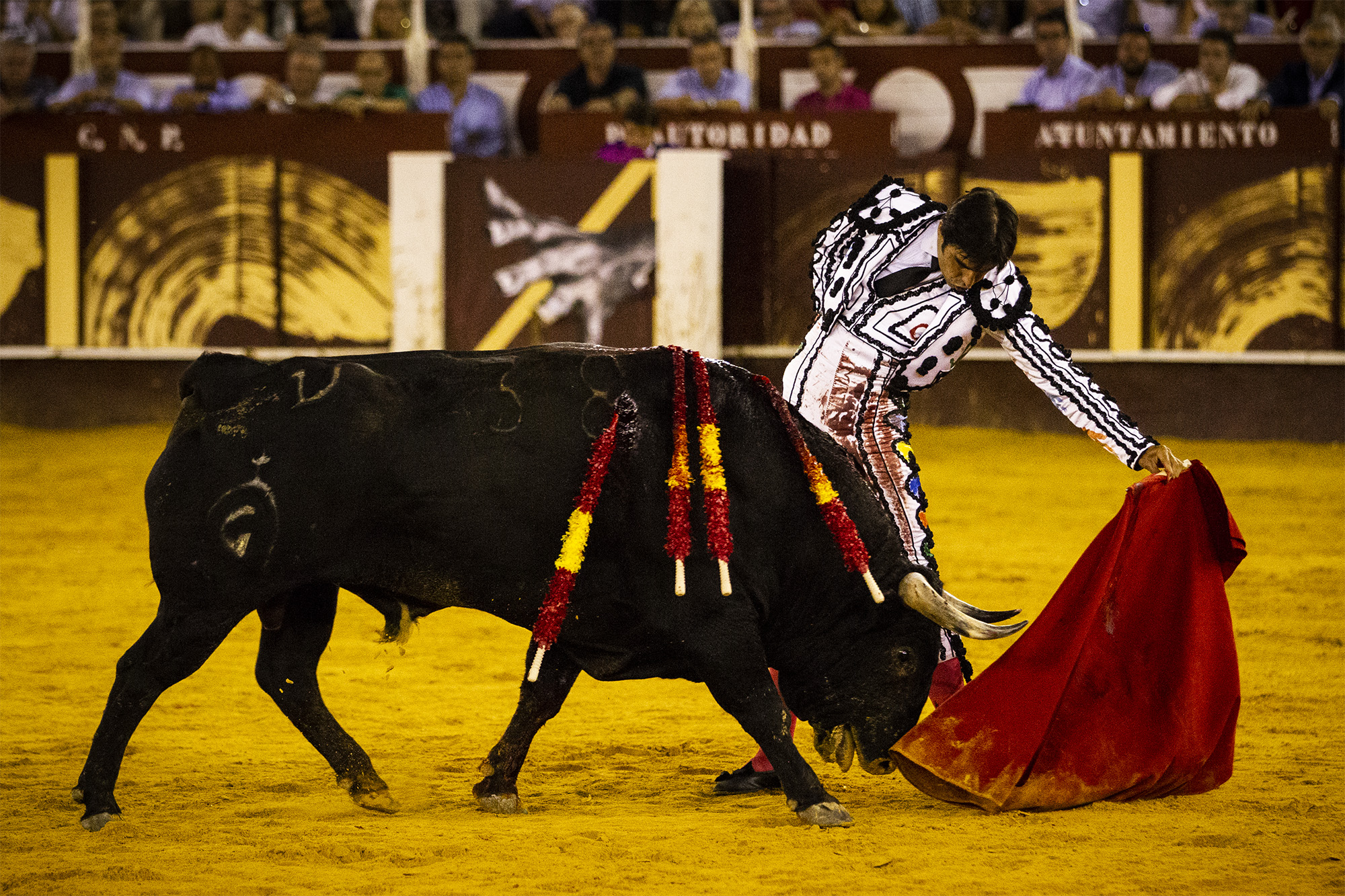 Málaga. Martes, 14 de agosto.
