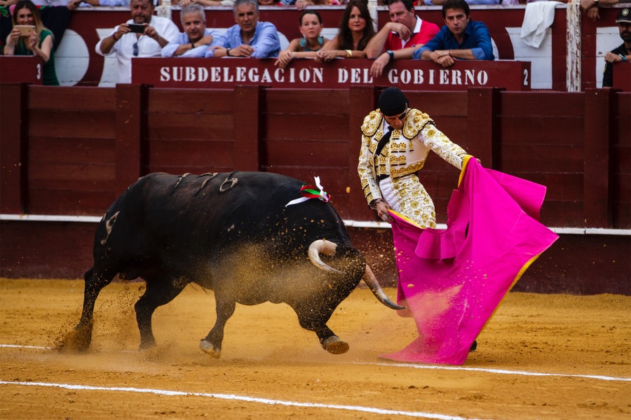 Málaga, 17 de agosto de 2018