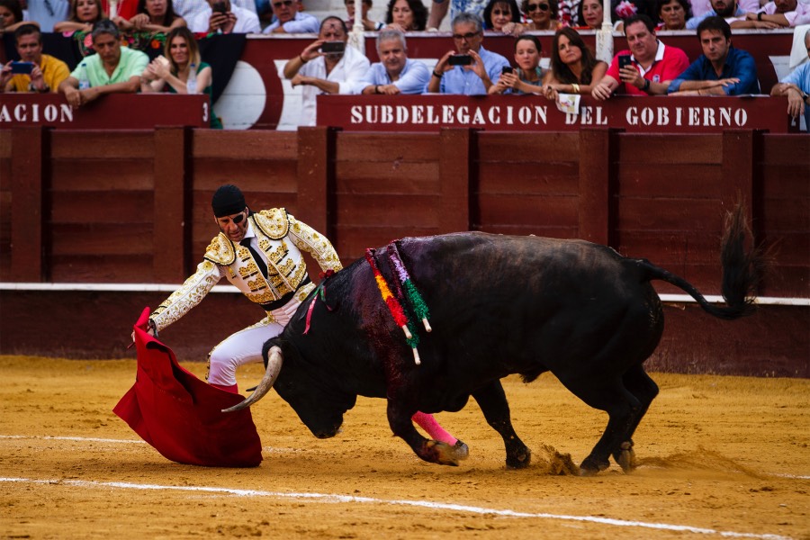 Málaga, 17 de agosto de 2018
