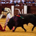 Málaga, 17 de agosto de 2018