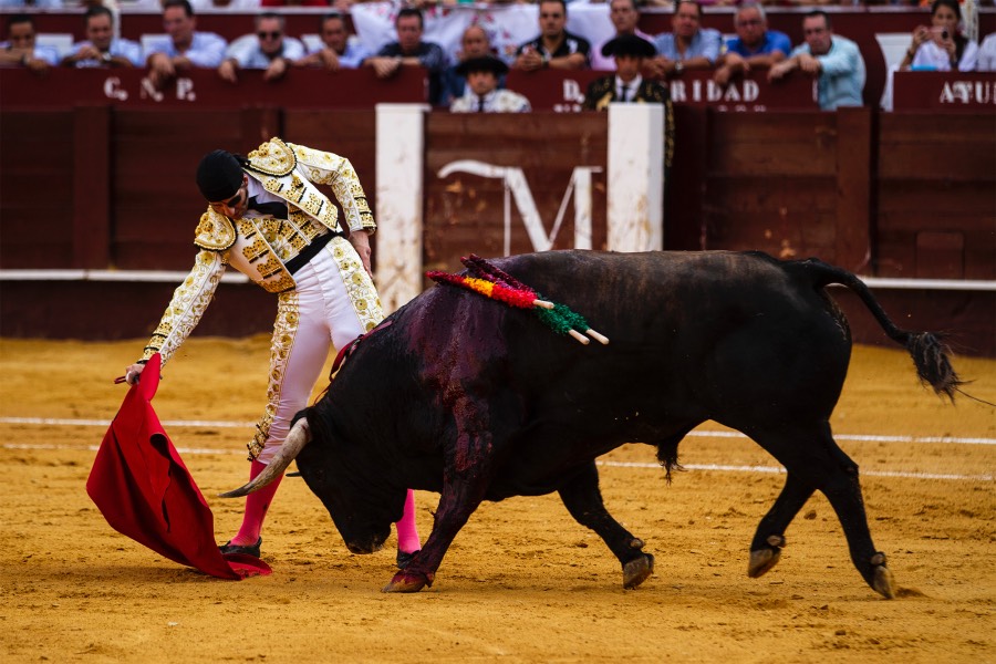 Málaga, 17 de agosto de 2018