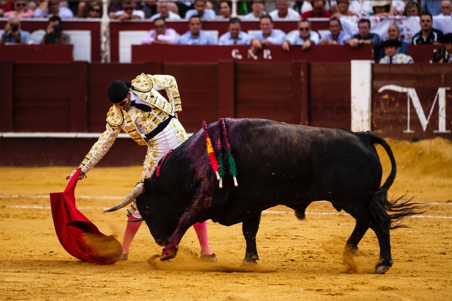 Málaga, 17 de agosto de 2018