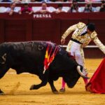 Málaga, 17 de agosto de 2018