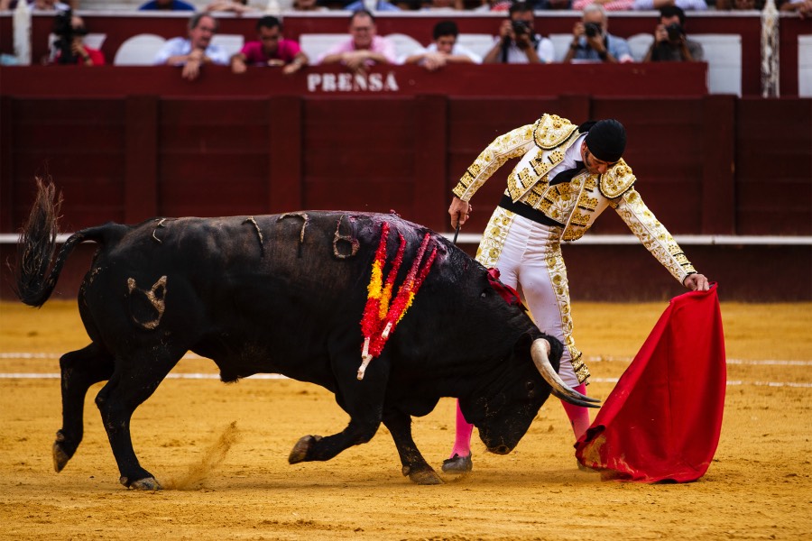 Málaga, 17 de agosto de 2018