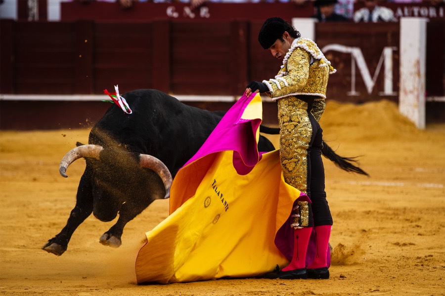 Málaga, 17 de agosto de 2018