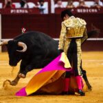 Málaga, 17 de agosto de 2018