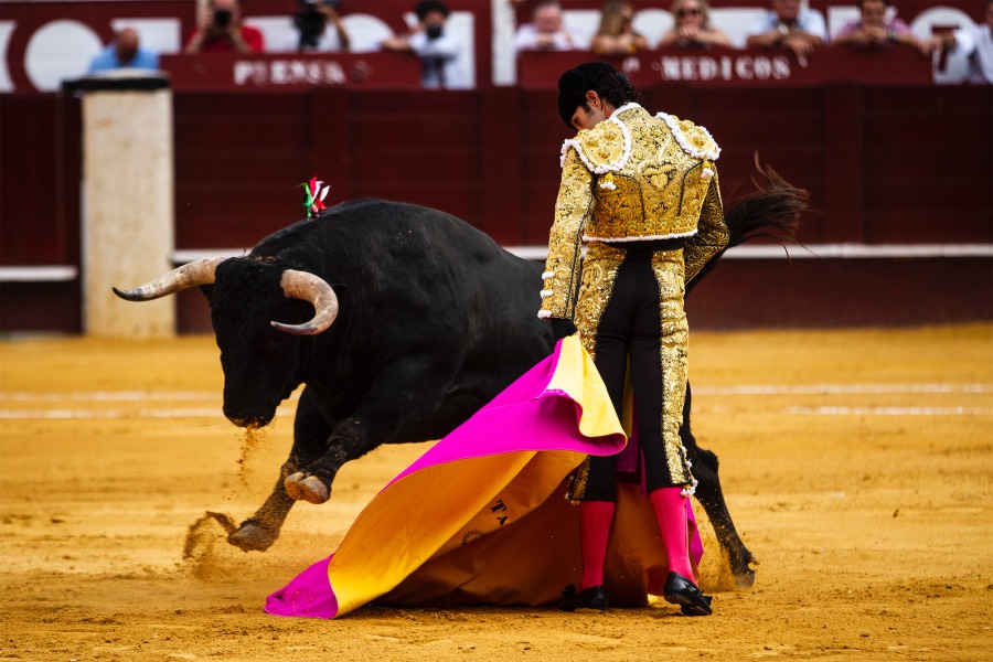 Málaga, 17 de agosto de 2018