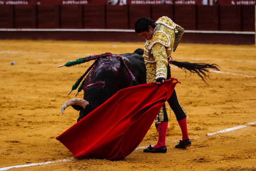 Málaga, 17 de agosto de 2018
