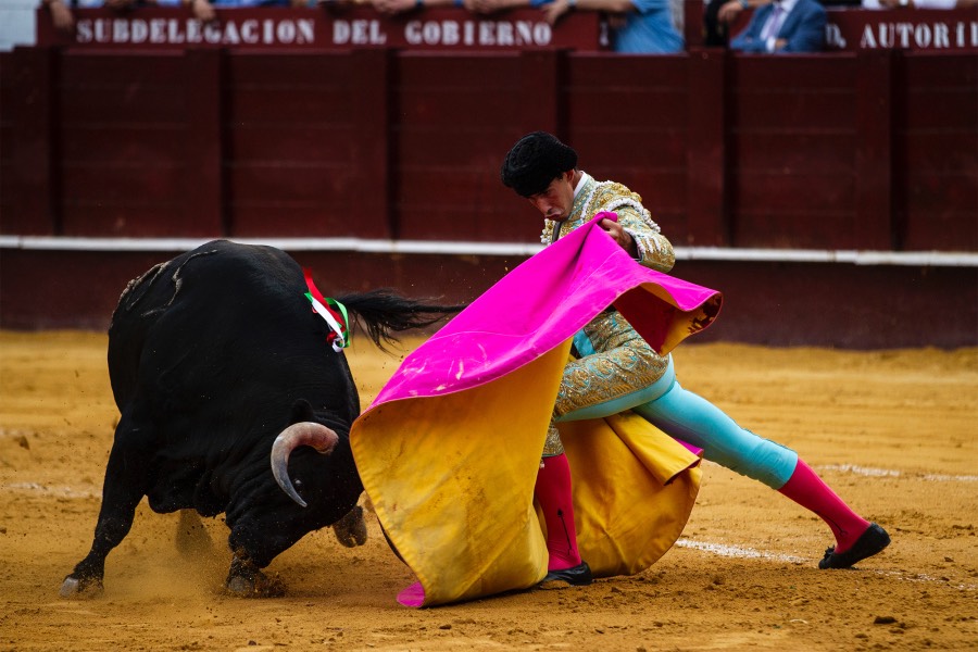 Málaga, 17 de agosto de 2018