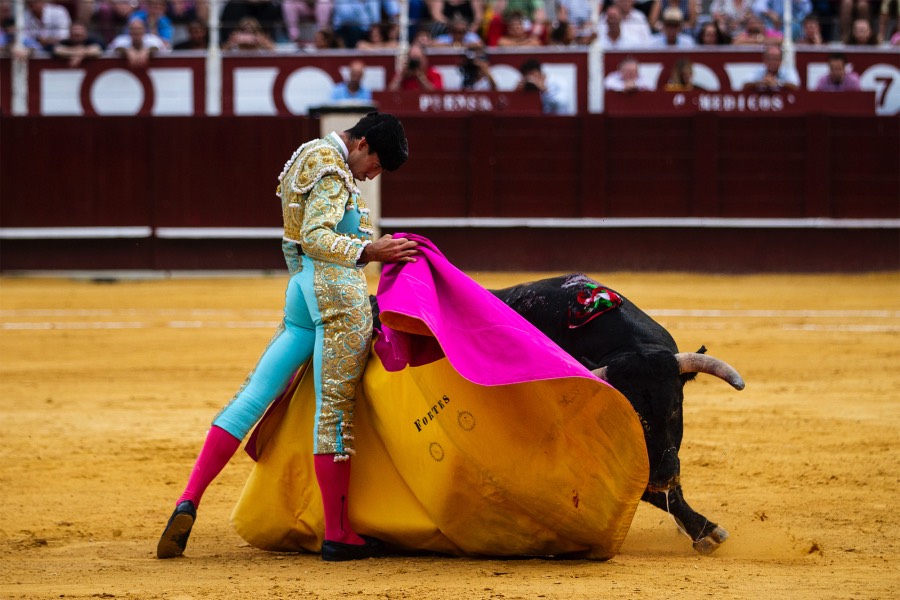 Málaga, 17 de agosto de 2018