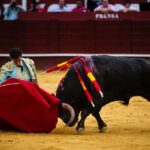 Málaga, 17 de agosto de 2018