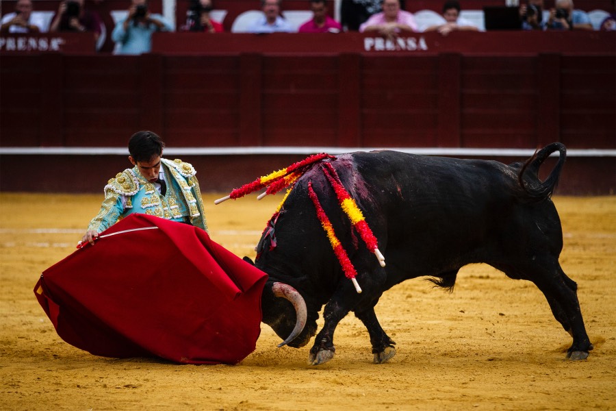 Málaga, 17 de agosto de 2018